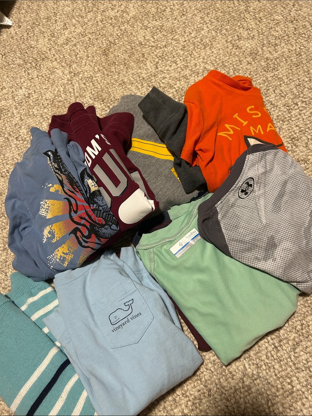 Toddler Boy Long sleeve Bundle